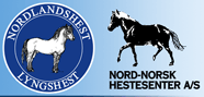 Sørnorsk mesterskap for de norske hesterasene