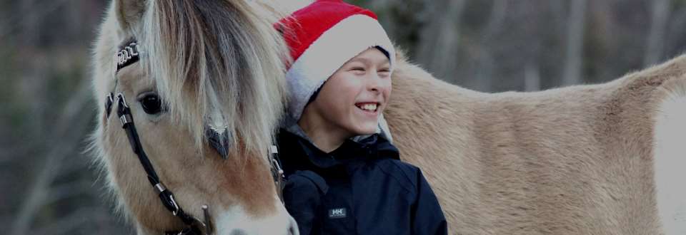 Julemøte 2014