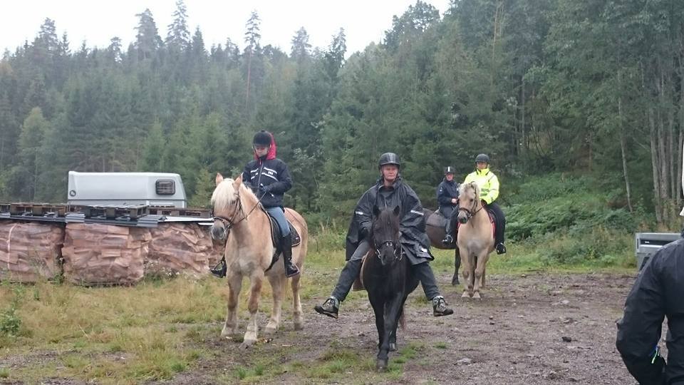 Ridetur Svindalen juni 2017